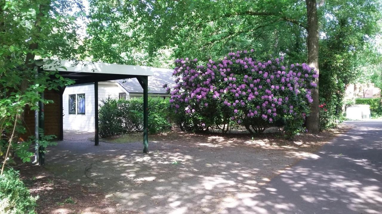 Vechtdalhuisje 16 Ommen Dış mekan fotoğraf